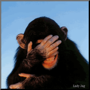 Laughing_ChimpM-vi.gif image by rdekonen